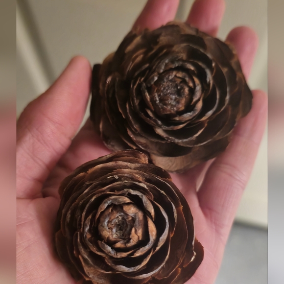 Meet your Posher, Erin - Picture 11 of 16